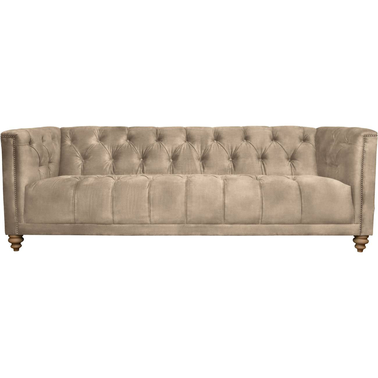 Christchurch Extra Large In Lovely Velvet Champagne With Light Leg