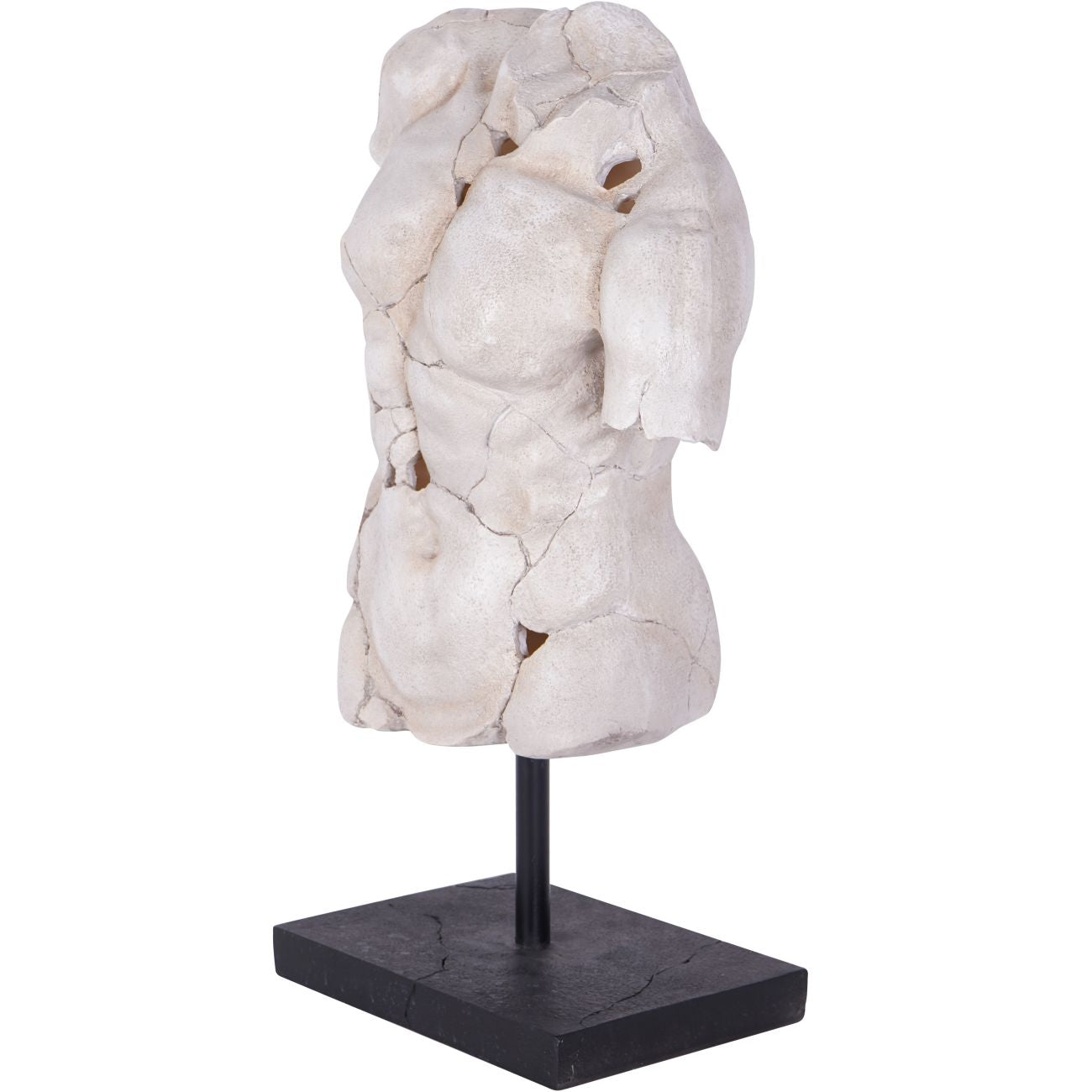 Male Torso on Stand