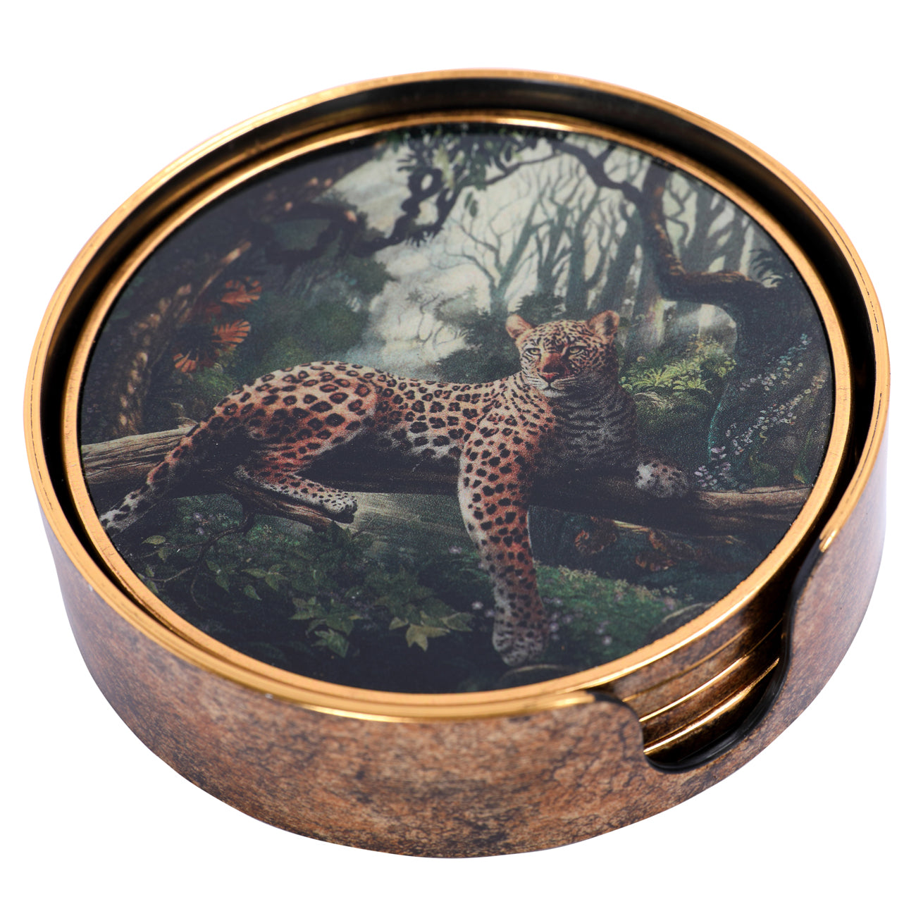 Lounging Leopard Set Coasters