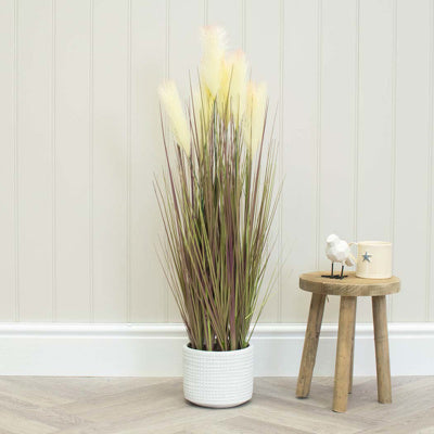 PP Grass Dogtail In Pot JM 90cm