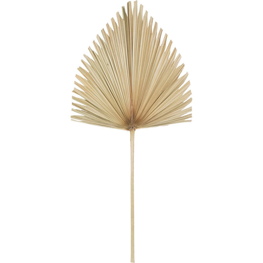 Arrowhead Palm Leaf Natural