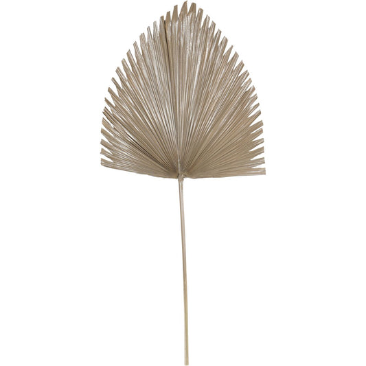 Arrowhead Palm Leaf Brown