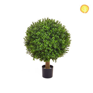 Topiary Buxus Ball 40cm Uv