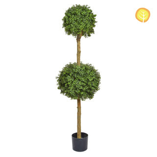 Topiary Buxus Double Ball Tree Pr 150cm Uv