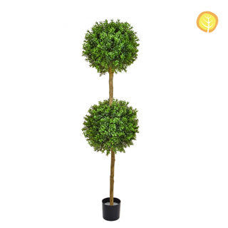 Topiary New Buxus Double Ball Tree 150cm Uv