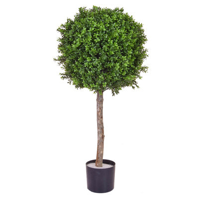 Topiary Buxus Ba Ball 60cm