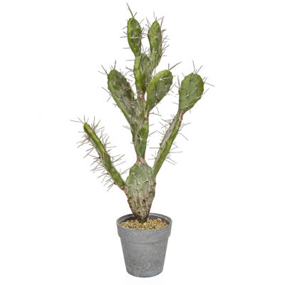 PP Cactus YF 60CM