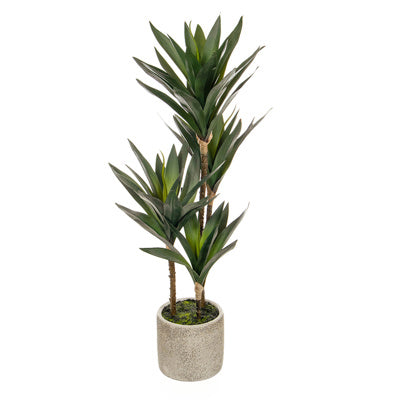 PP Yucca Mini in Pot YF 65CM