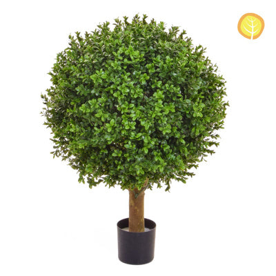 Topiary Buxus Ball 50cm Uv