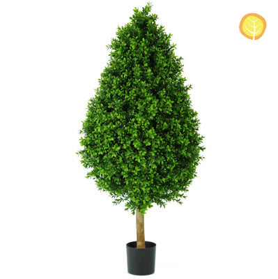 Topiary New Buxus Tower A 60cm Uv