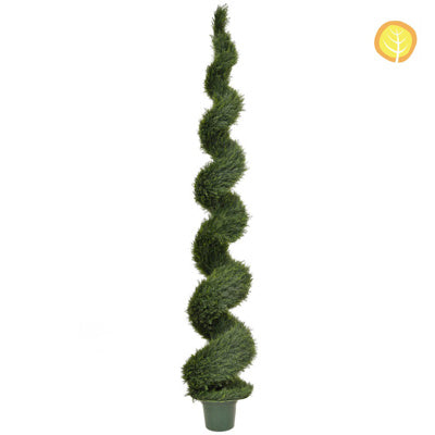 Topiary Cedar Spiral 300cm Uv