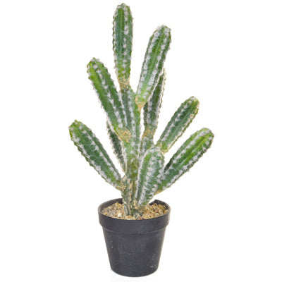 PP Cactus With Black Pot YF 44cm