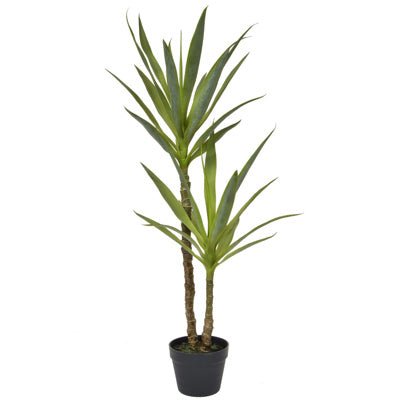 PP Yucca In Black Pot YF 110cm