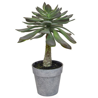 PP Succulent Green Yf 37cm