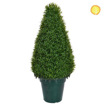 Topiary Rosemary Tower 75cm Uv