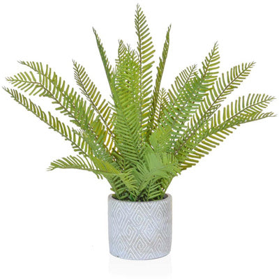 PP Fern Green In Grey Pot PI 46cm