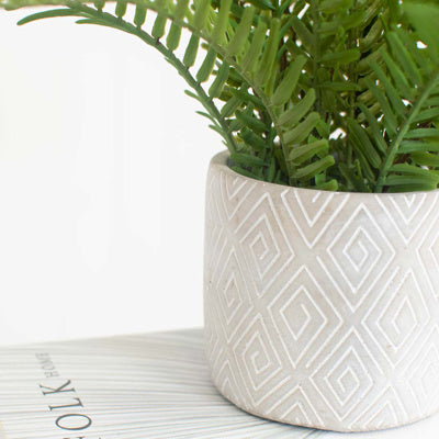 PP Fern Green In Grey Pot PI 46cm