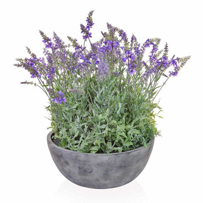 PP Lavender In Bowl 38x50cm