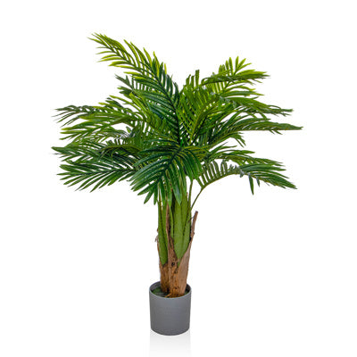 PP Livistona Chinensis In Grey Pot 90cm