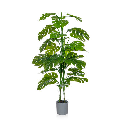 PP Monstera Tree In Grey Pot 150cm