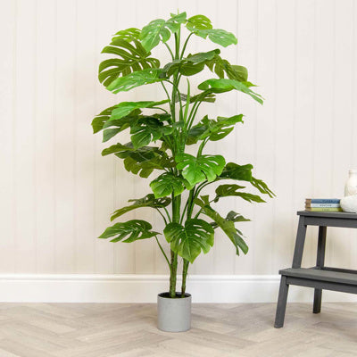 PP Monstera Tree In Grey Pot 150cm