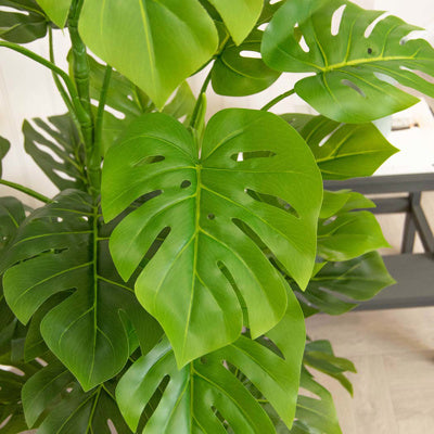 PP Monstera Tree In Grey Pot 150cm