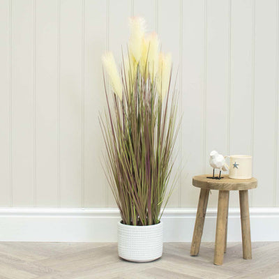 PP Grass Dogtail In Pot JM 90cm