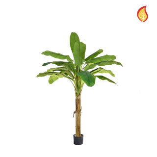 Palm Banana 105cm FR-S1