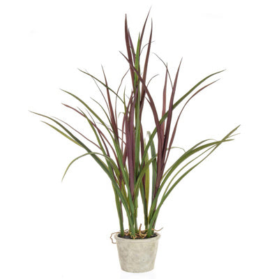 PP Grass W/Pot YF 70cm