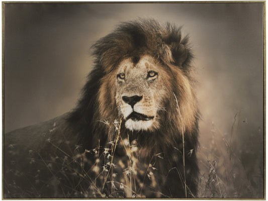 Lion Framed Canvas Wall Art 80x113cm